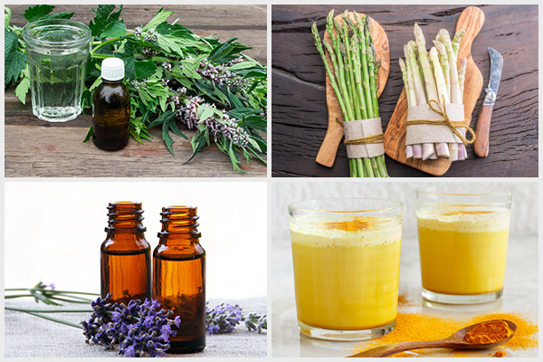 using Motherwort tea, wild asparagus, lavender oil massage, etc. can help manage endometriosis
