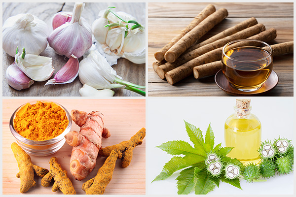consume garlic, burdock root tea, turmeric, etc. can help shrink fibroids