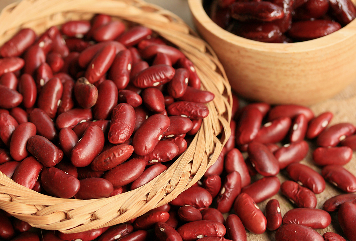 kidney beans vs red beans: nutrition and benefits