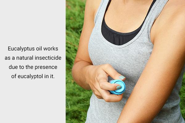 eucalyptus oil works wonders as a natural mosquito repellant