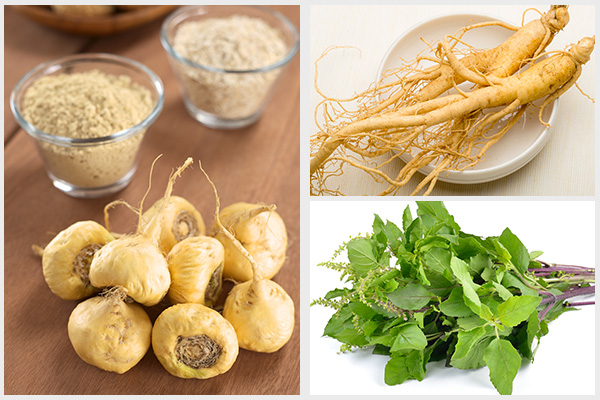 use Korean ginseng, maca herb, holy basil herb to fight adrenal fatigue