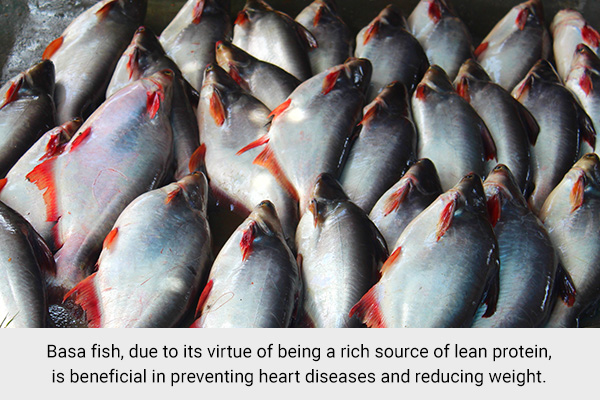 practical takeaways regarding basa fish consumption