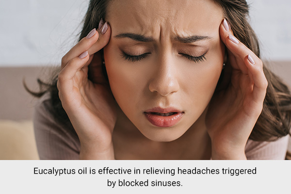 using eucalyptus can help deal with headaches