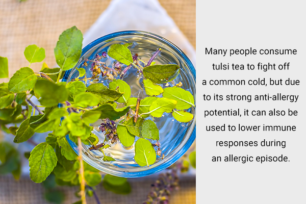 tulsi is a medicinal herb useful against cold and allergy issues