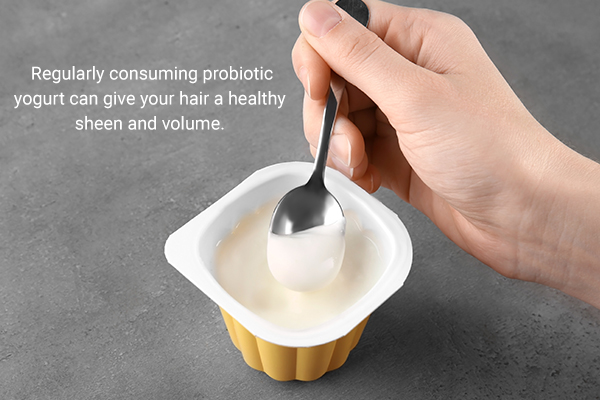 consuming yogurt regularly can help keep your hair shiny and prevent hair loss