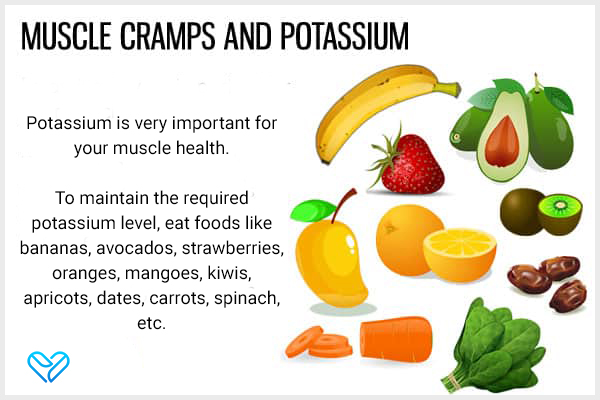 potassium is crucial for your muscle health and can prevent cramps