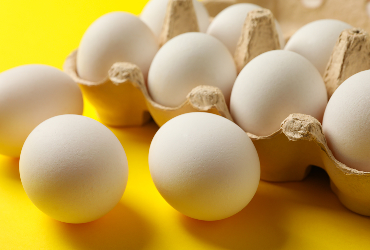 are broiler eggs beneficial for your health?