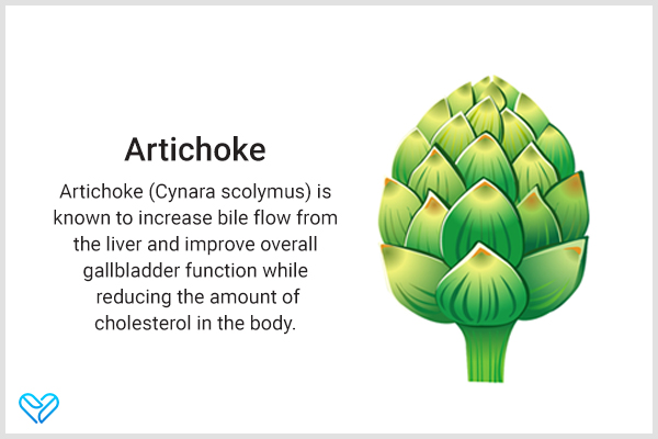 using artichoke can help improve overall gallbladder function