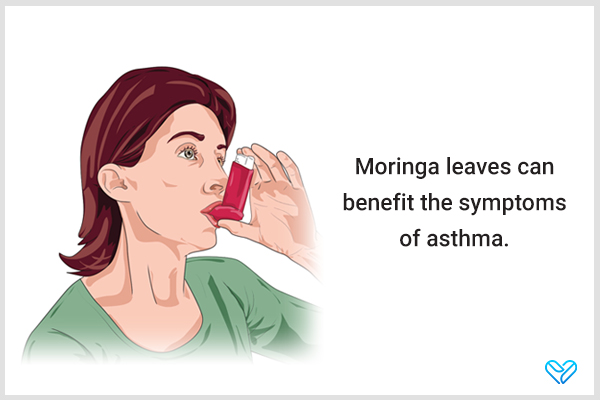moringa leaves can help reduce severity of asthma symptoms