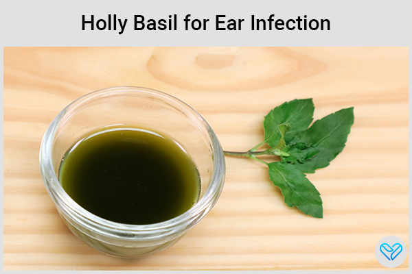 holy basil (tulsi) can come in handy when dealing with ear infections