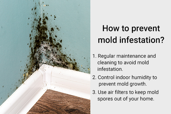 tips to prevent mold infestation