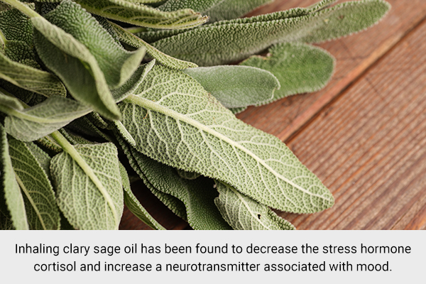 inhaling clary sage oil can help reduce stress and balance hormone levels