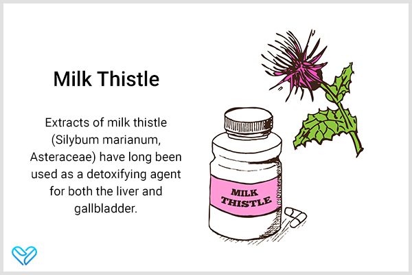 milk thistle extracts can be used as a detoxifying agent for the gallbladder