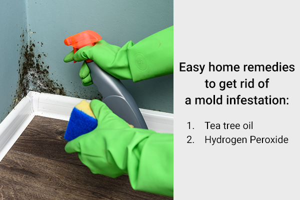 home treatments to deal with mold infestation