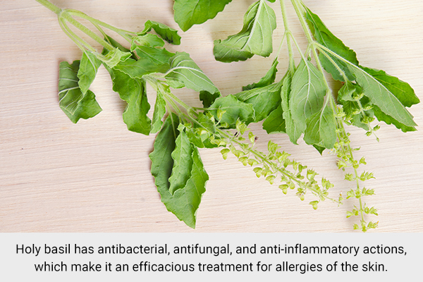 try using basil powder to affected areas to relieve skin allergies