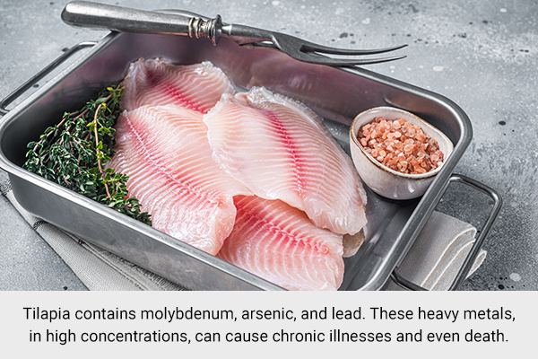 tilapia can be laden with heavy metals so this must be considered prior consuming it