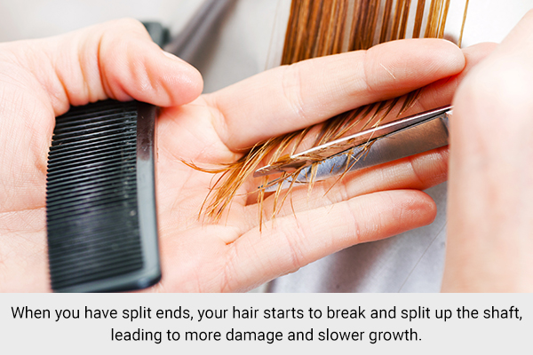 trimming your hair can help you get rid of split ends