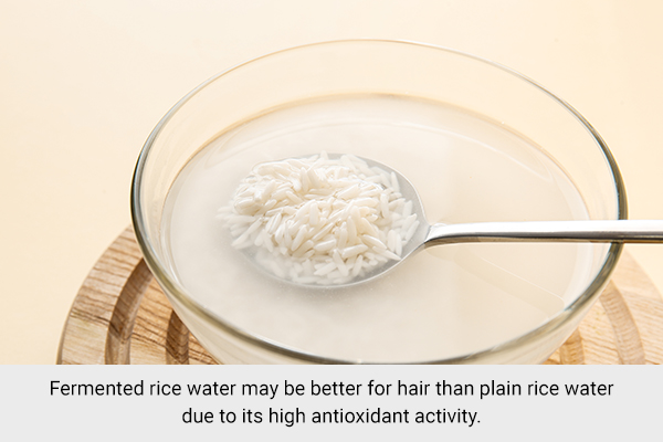 fermented rice water has higher antioxidant activity than plain rice water