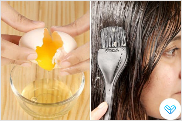 proper way of using eggs for your hair care