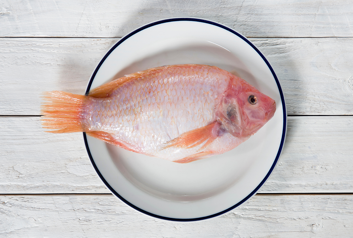 is tilapia good for weight loss?