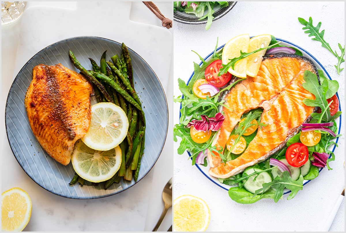 salmon vs tilapia: which is better fish?