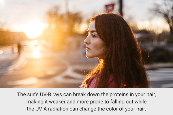 the sun's UV rays can break down hair proteins and cause hair fall during the summer