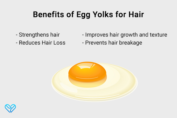 benefits of egg yolks for hair care