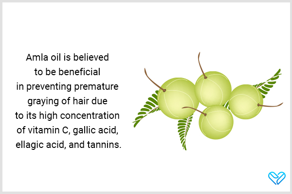 using amla oil can help delay premature graying of hair