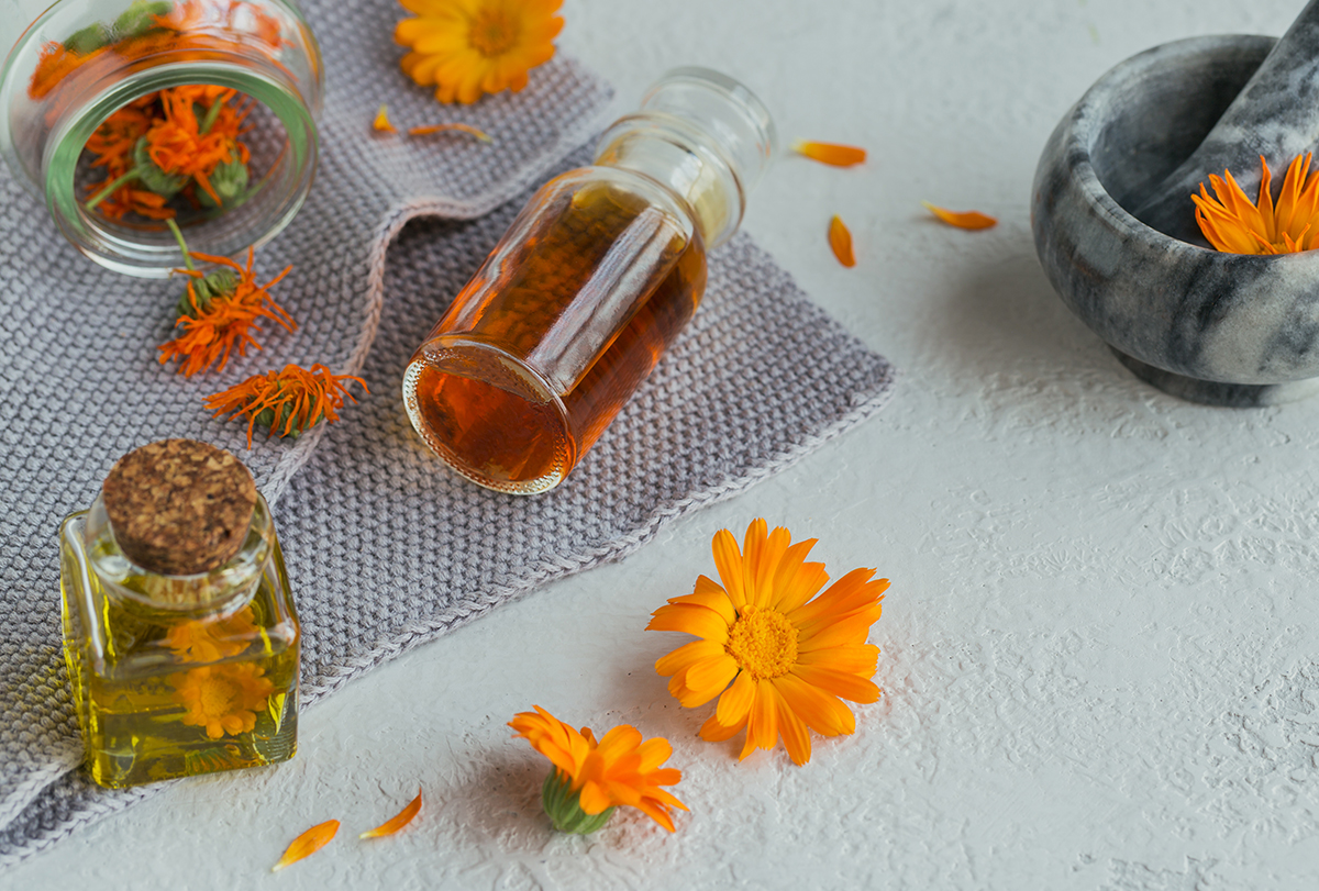 calendula benefits for hair and how to use it