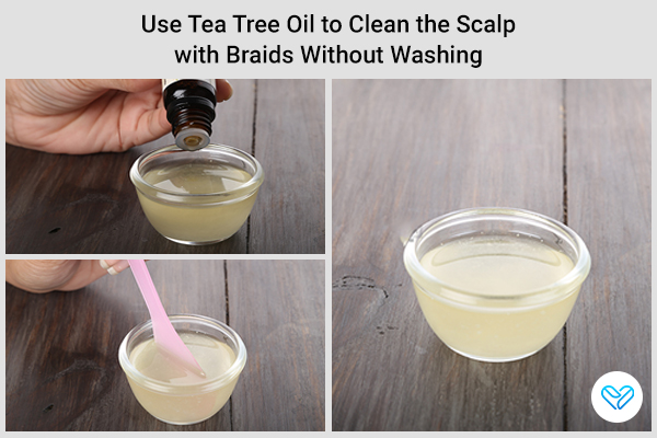 how to use tea tree oil to clean the scalp with braids without washing