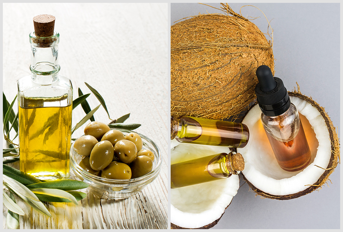 olive oil vs coconut oil which one is better for your hair