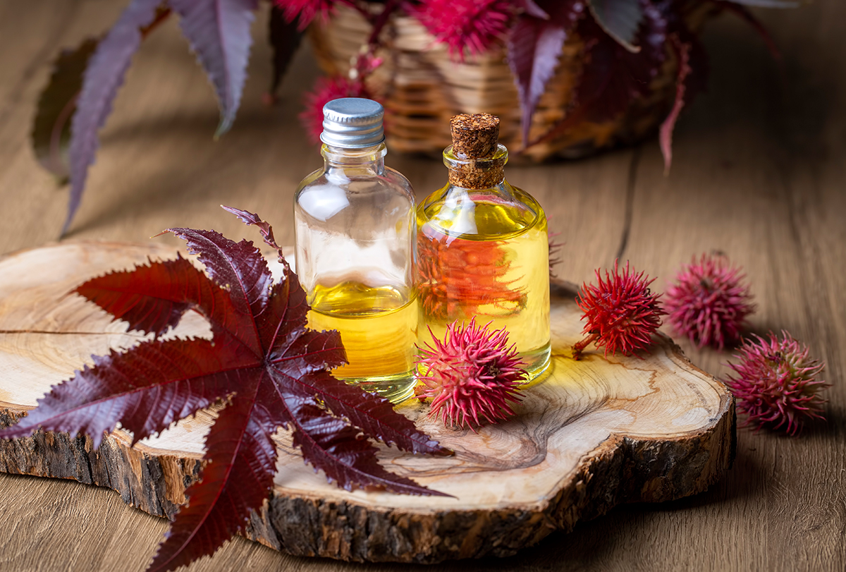 castor oil and tea tree oil for hair growth