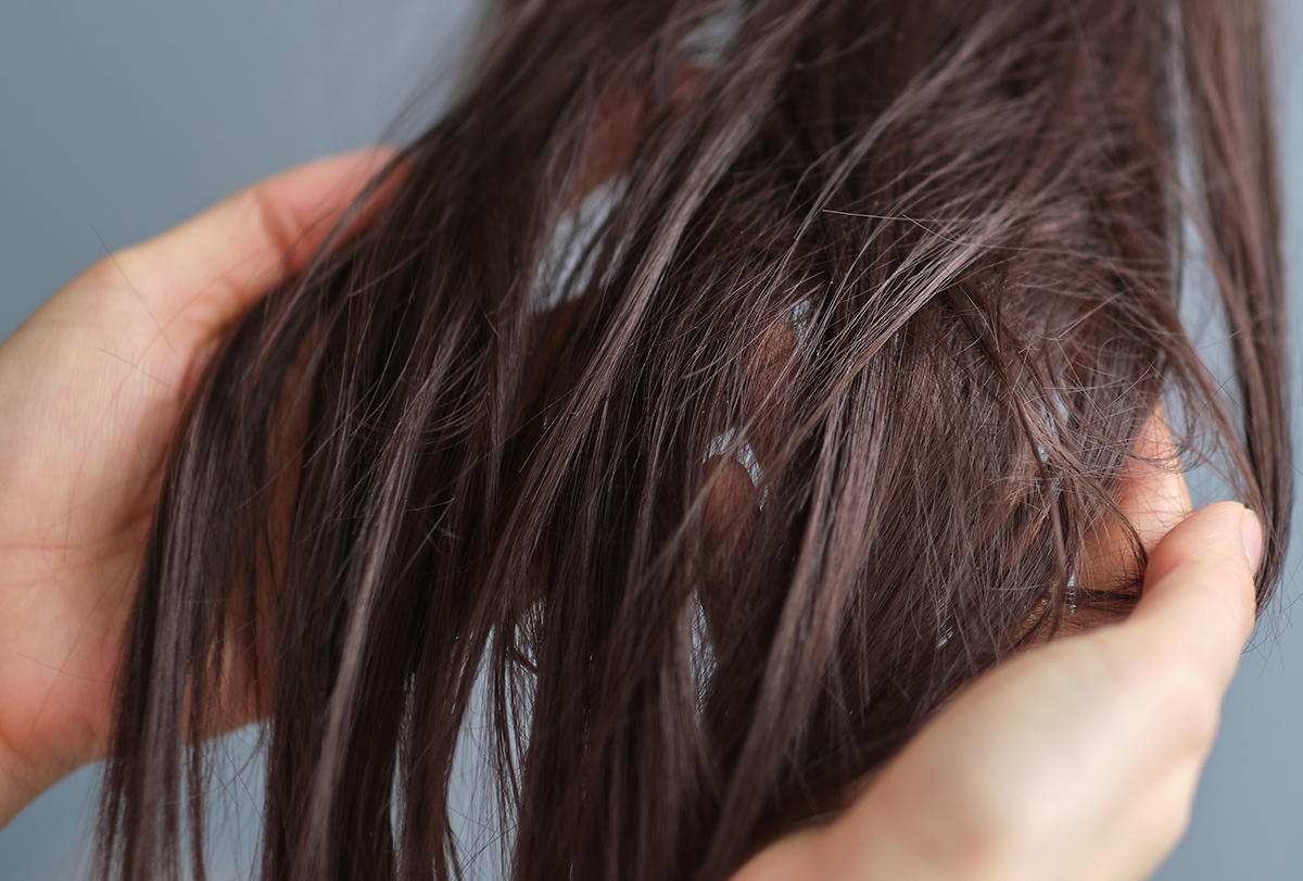 how to fix chlorine damaged hair